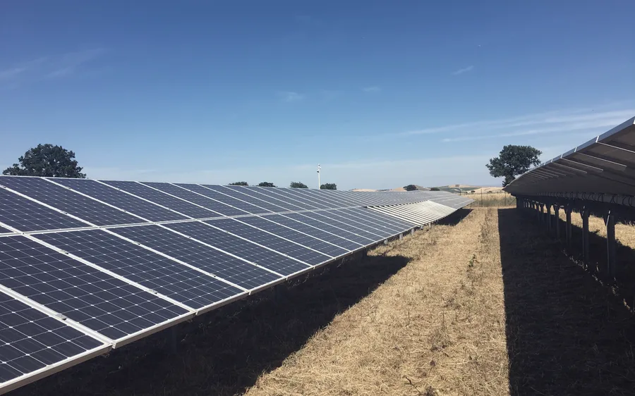 Reihen einer PV-Freiflächenanlage